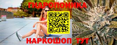 меф Кингисепп