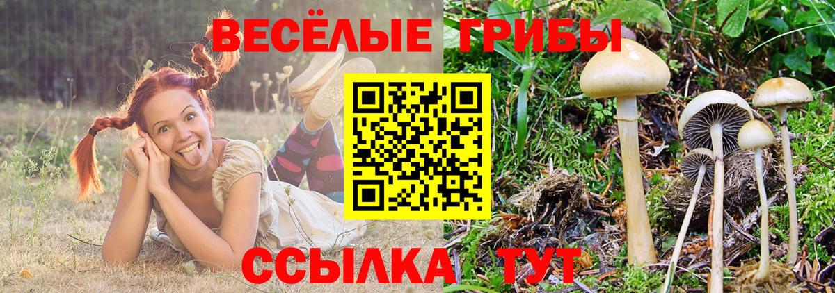 Галлюциногенные грибы ЛСД  купить наркоту  Куйбышев  Вход с VPN 