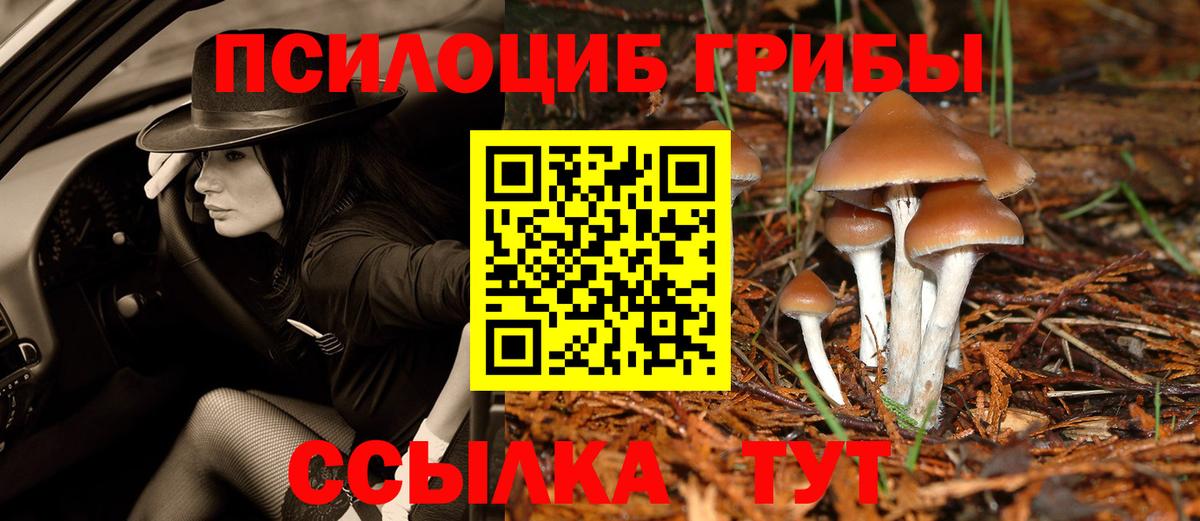 Псилоцибиновые грибы Cubensis Куйбышев